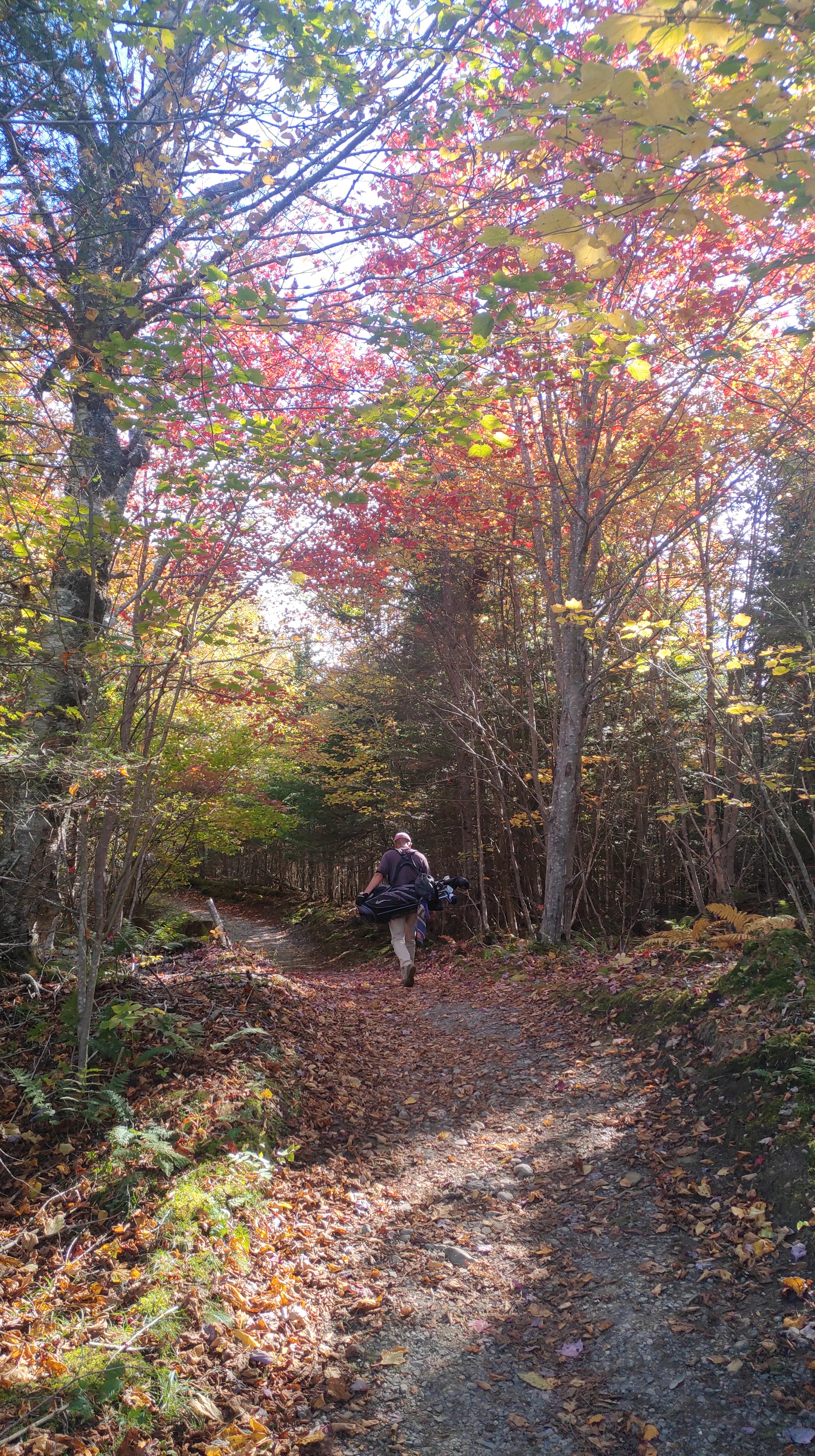 A person carrying a golf bag along an autumn woodland path