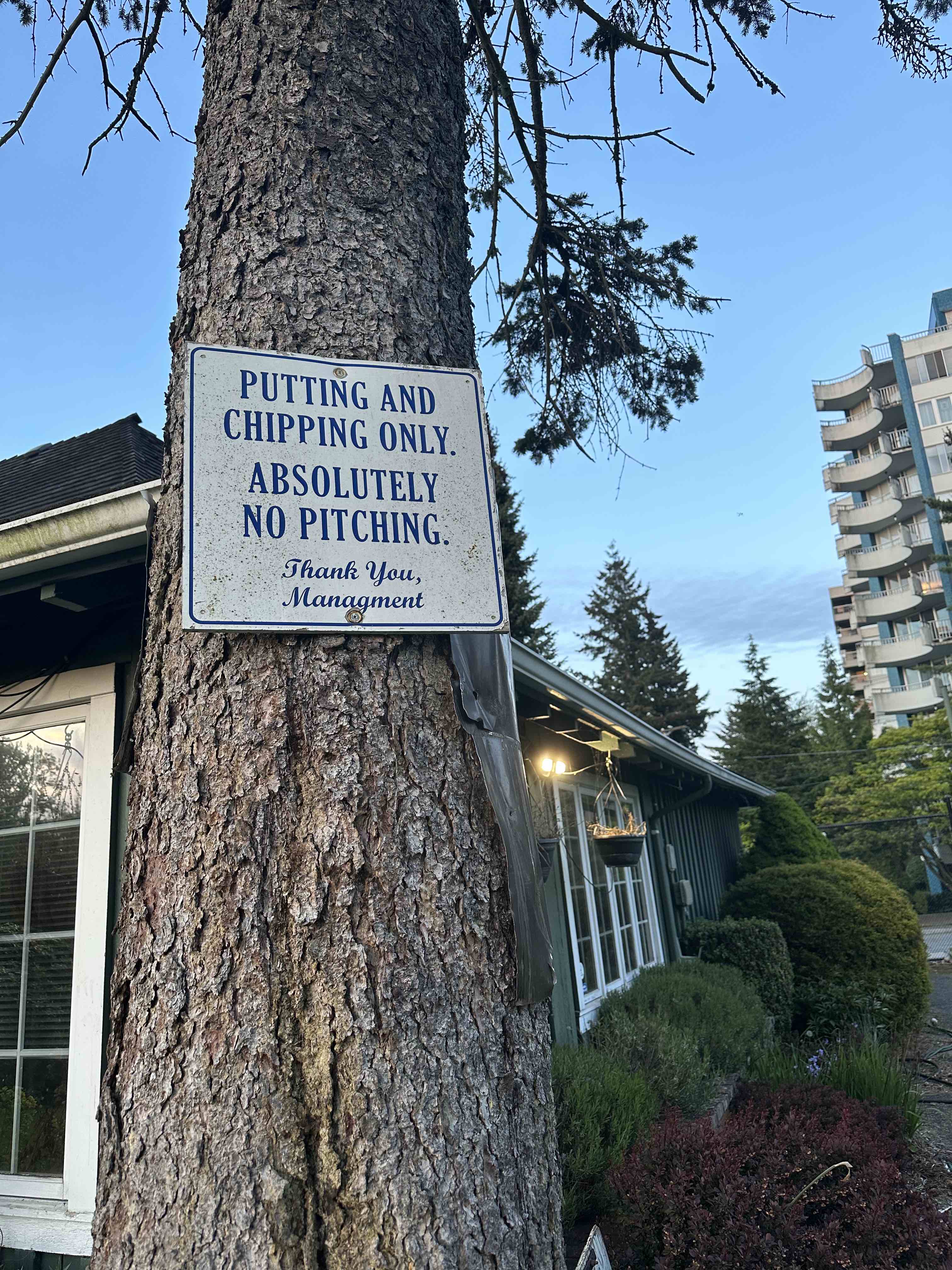 Sign on a tree reading Putting and Chipping Only, Absolutely No Pitching