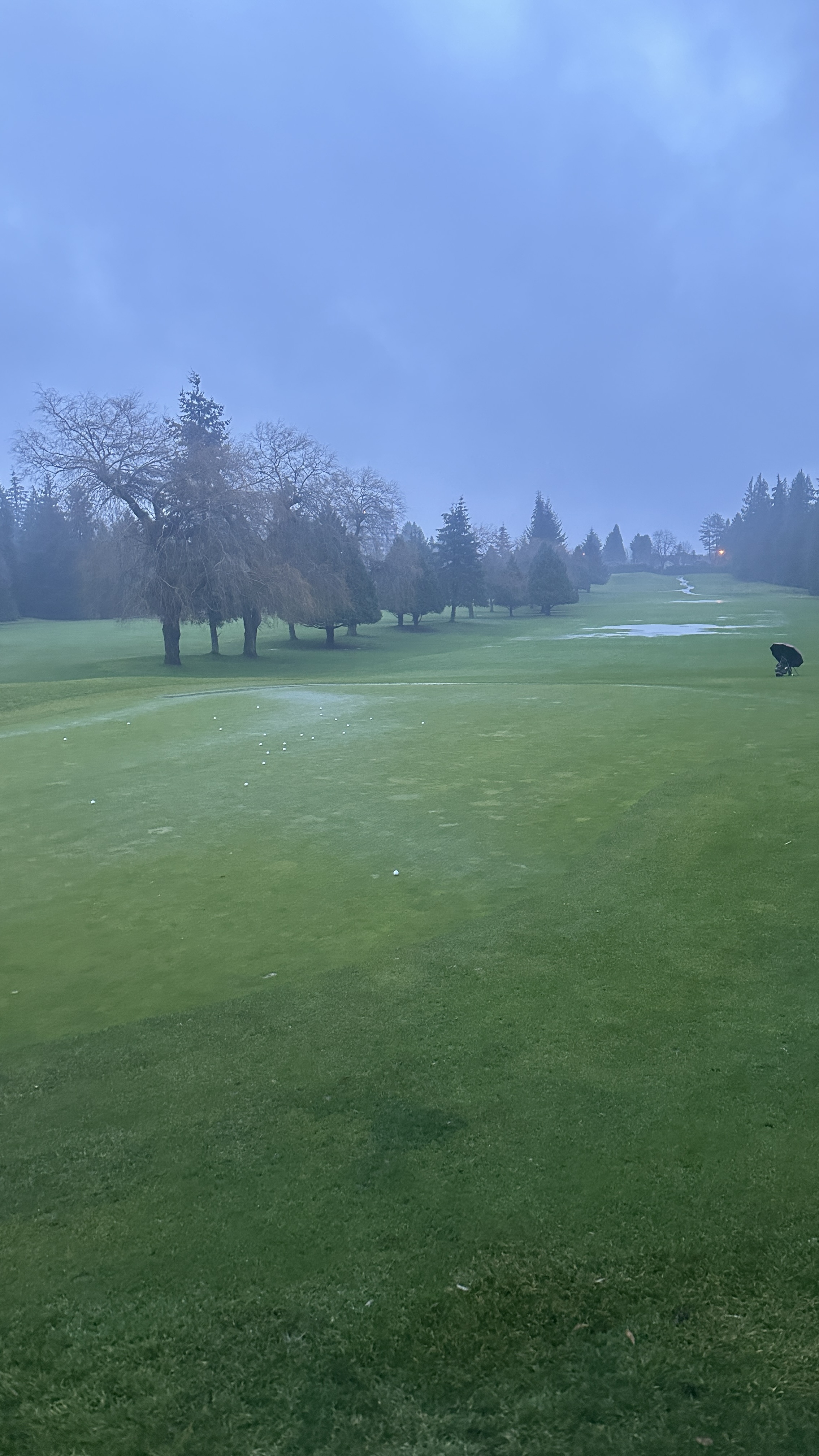 Golf practice area with scattered balls, trees and patches of snow under a grey sky